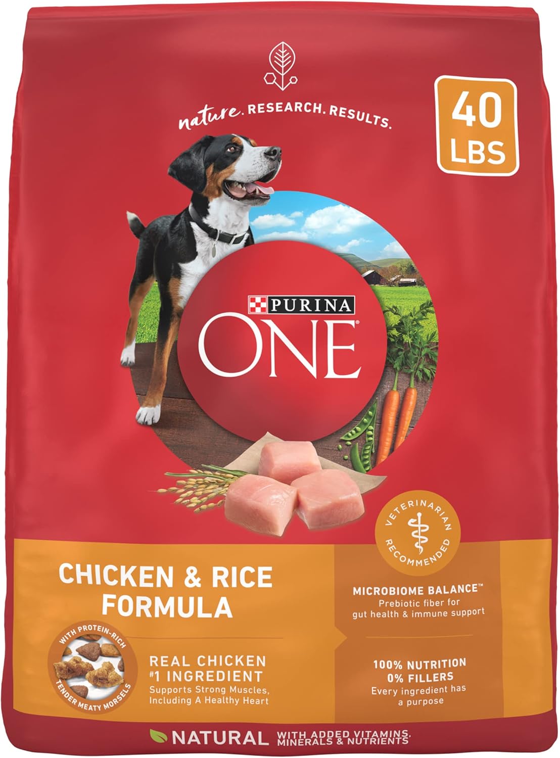 Purina ONE Dry Dog Food Lamb and Rice Formula - 31.1 lb. Bag